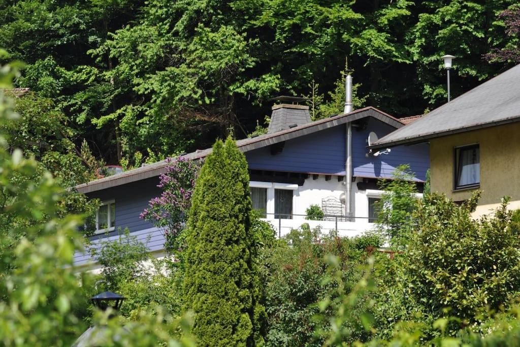 Ferienwohnung Schog Todtnau Extérieur photo